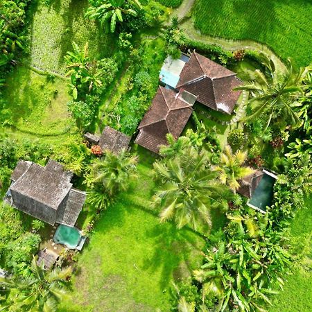 Dewa Jati Cottages Payangan Eksteriør bilde